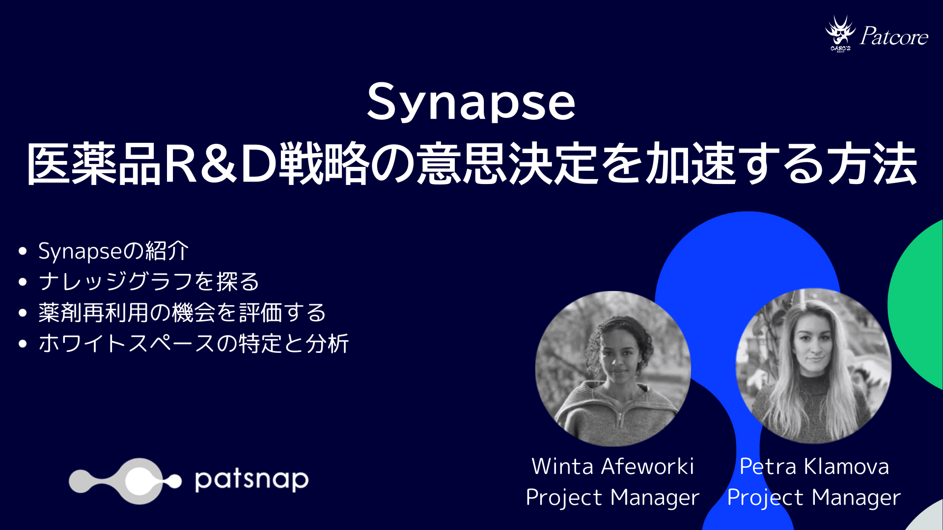 Synapse-医薬品R&D戦略の意思決定を加速する方法
