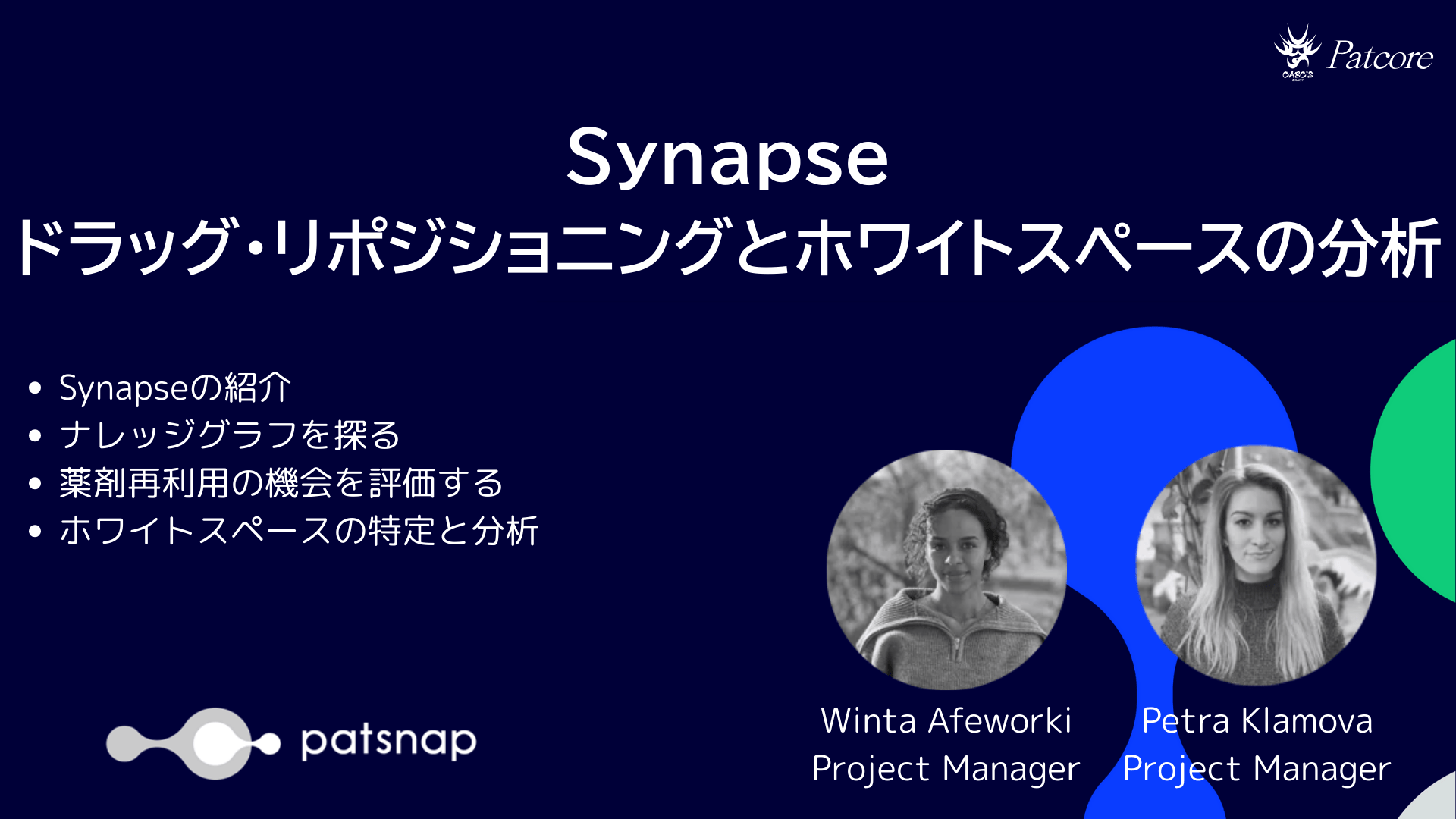 Synapse-DrugRepositioning&WhiteSpace